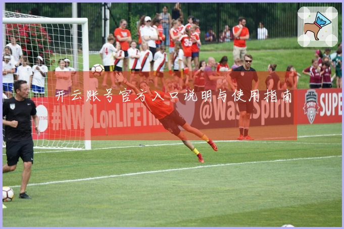 开云账号官方入口说明与使用指南