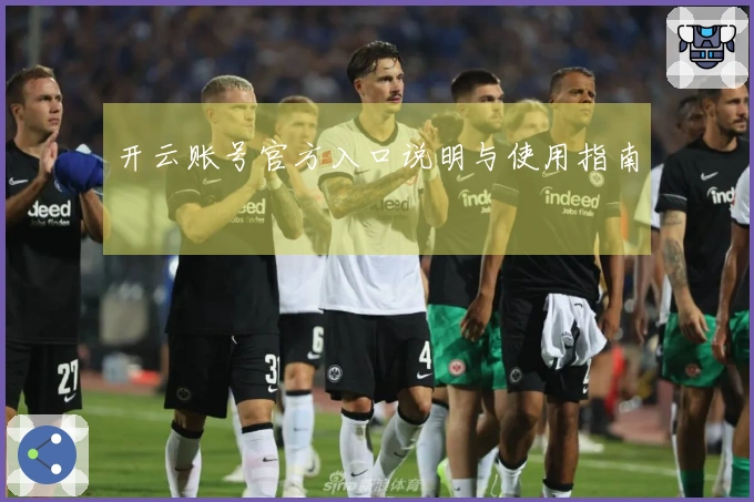 开云账号官方入口说明与使用指南